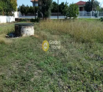 Golden Home Property Image