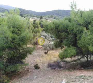 Parcel 500m<sup>2</sup> for sale photo 2693075