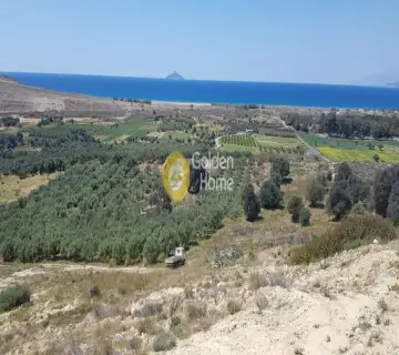 Golden Home Property Image