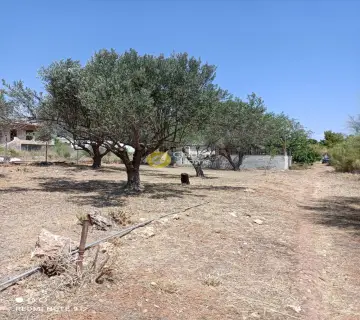 Residential 410m<sup>2</sup> for sale photo 4
