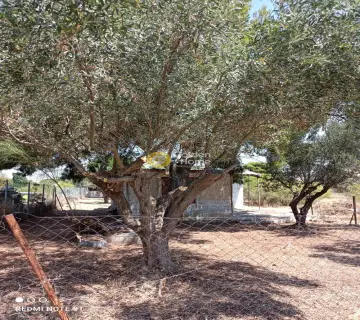 Residential 410m<sup>2</sup> for sale photo 6