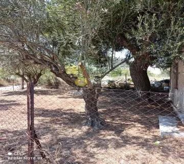 Residential 410m<sup>2</sup> for sale photo 3