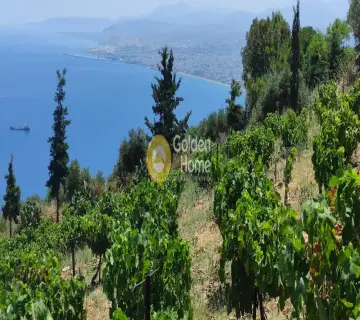 Golden Home Property Image