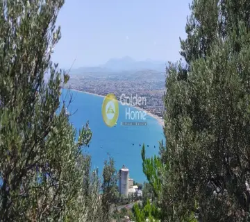 Golden Home Property Image