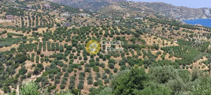 Residential 7500m<sup>2</sup> for sale photo 6