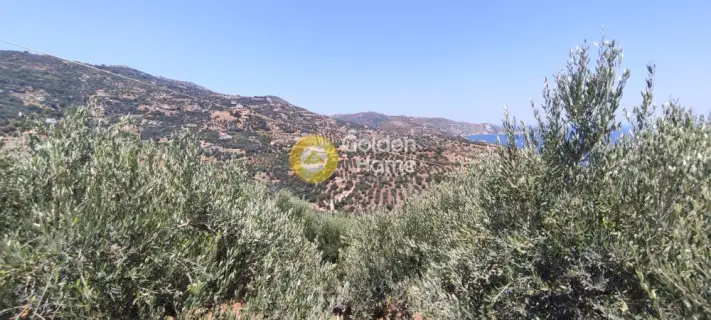 Residential 7500m<sup>2</sup> for sale photo 20