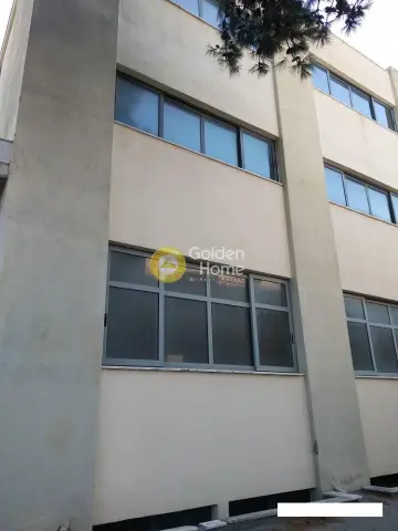 Αυτόνομο Κτίριο 2945τ.μ. προς πώληση φωτογραφία 2