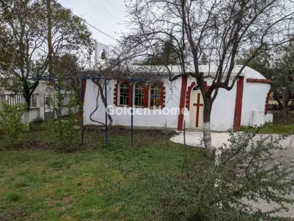 Αυτόνομο Κτίριο 2945τ.μ. προς πώληση φωτογραφία 12