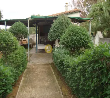 Golden Home Property Image