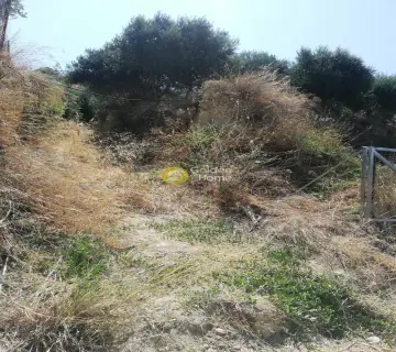 Residential 2000m<sup>2</sup> for sale photo 4