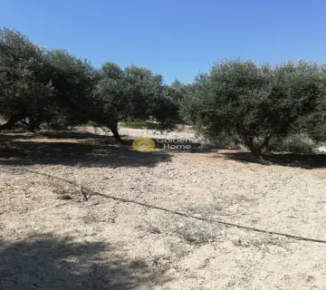 Residential 2000m<sup>2</sup> for sale photo 7
