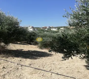Residential 2000m<sup>2</sup> for sale photo 11