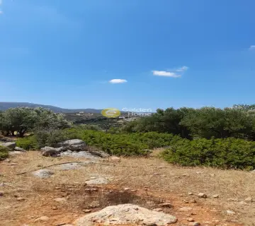 Οικιστικό 9200τ.μ. προς πώληση φωτογραφία 2697998