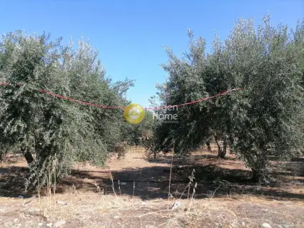 Residential 2940m<sup>2</sup> for sale photo 4