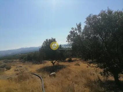 Residential 9000m<sup>2</sup> for sale photo 7
