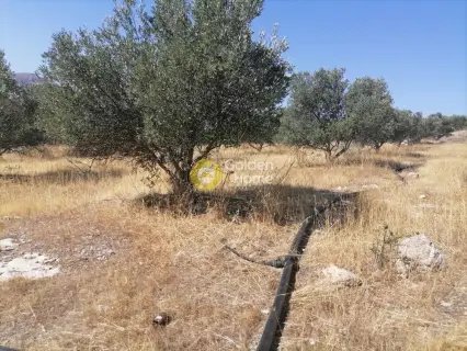 Residential 9000m<sup>2</sup> for sale photo 10