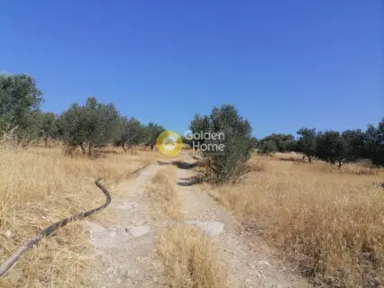 Residential 9000m<sup>2</sup> for sale photo 19