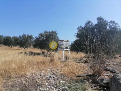Residential 9000m<sup>2</sup> for sale photo 22