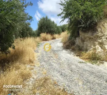 Parcel 5000m<sup>2</sup> for sale photo 30