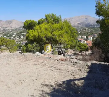 Golden Home Property Image