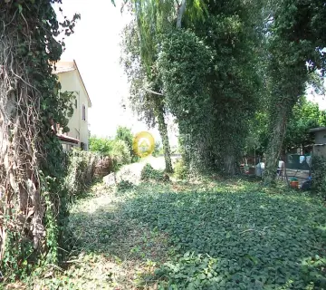 Residential 970m<sup>2</sup> for sale photo 2702533