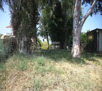 Residential 970m<sup>2</sup> for sale photo 2702534