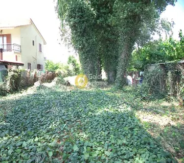 Residential 970m<sup>2</sup> for sale photo 2702534