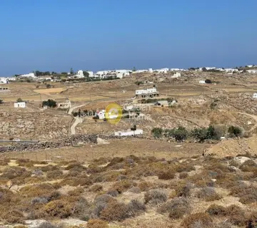Professional Plot 24000m<sup>2</sup> for sale photo 4