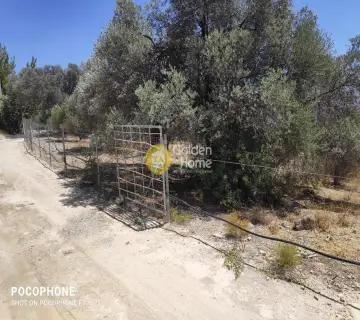 Residential 2370m<sup>2</sup> for sale photo 14