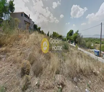 Αγροτεμάχιο 1000τ.μ. προς πώληση φωτογραφία 2