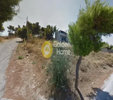 Αγροτεμάχιο 1000τ.μ. προς πώληση φωτογραφία 5