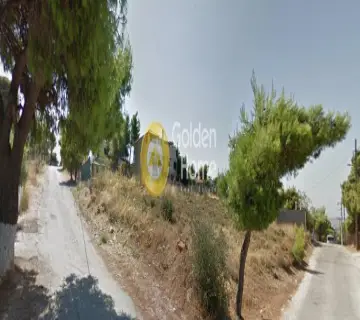 Αγροτεμάχιο 1000τ.μ. προς πώληση φωτογραφία 6