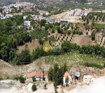 Golden Home Property Image