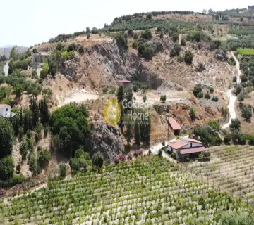 Professional Plot 5175m<sup>2</sup> for sale photo 2711310