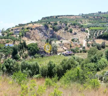Professional Plot 5175m<sup>2</sup> for sale photo 2711311