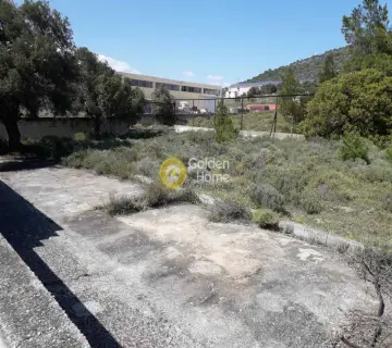 Επαγγελ. Οικόπεδο 3492τ.μ. προς πώληση φωτογραφία 2