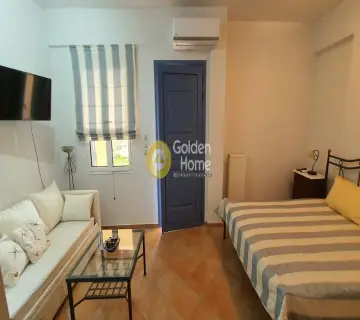 Μονοκατοικία 300τ.μ. προς πώληση φωτογραφία 2713049