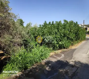 Έκταση 2500τ.μ. προς πώληση φωτογραφία 1