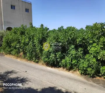 Έκταση 2500τ.μ. προς πώληση φωτογραφία 2