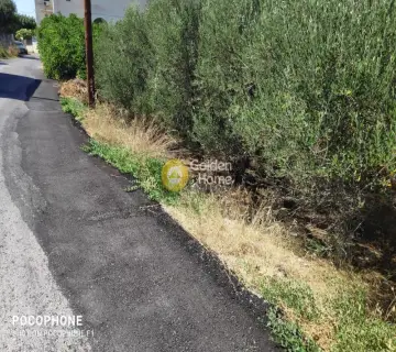 Έκταση 2500τ.μ. προς πώληση φωτογραφία 7