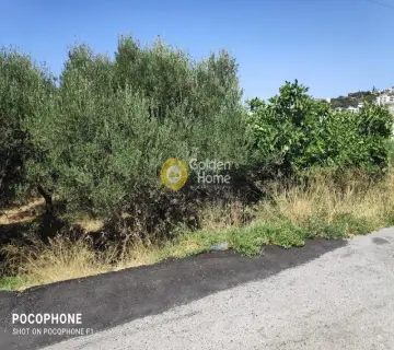 Έκταση 2500τ.μ. προς πώληση φωτογραφία 9