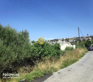 Έκταση 2500τ.μ. προς πώληση φωτογραφία 10