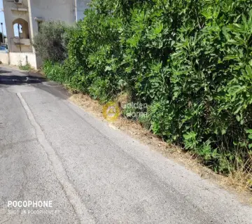 Έκταση 2500τ.μ. προς πώληση φωτογραφία 12