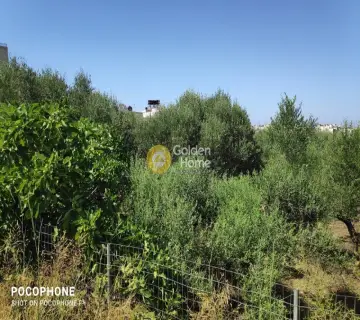 Έκταση 2500τ.μ. προς πώληση φωτογραφία 13