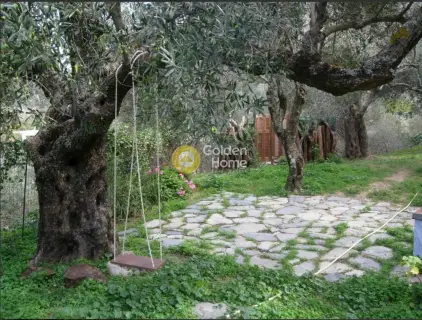 Μονοκατοικία 436τ.μ. προς πώληση φωτογραφία 22