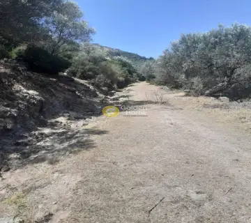 Parcel 26326m<sup>2</sup> for sale photo 2713944