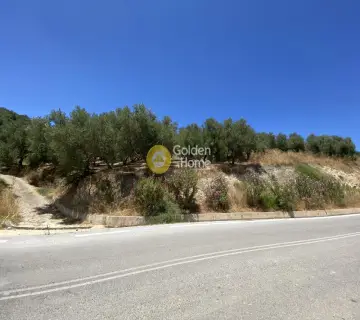 Parcel 8100m<sup>2</sup> for sale photo 3