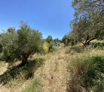 Parcel 8100m<sup>2</sup> for sale photo 2