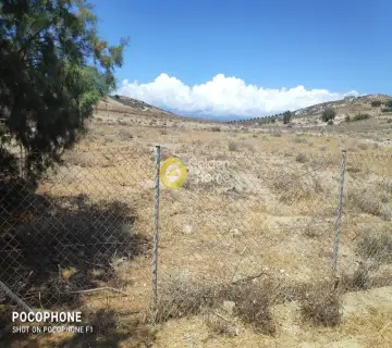 Area 851m<sup>2</sup> for sale photo 6
