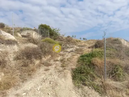 Επαγγελ. Οικόπεδο 9800τ.μ. προς πώληση φωτογραφία 19